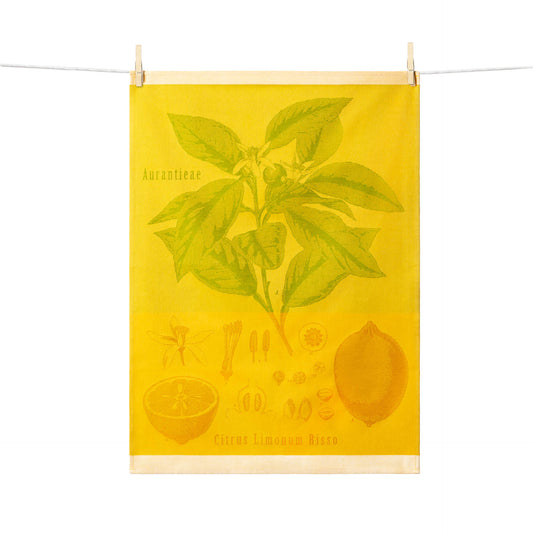 Citrus Dishtowel