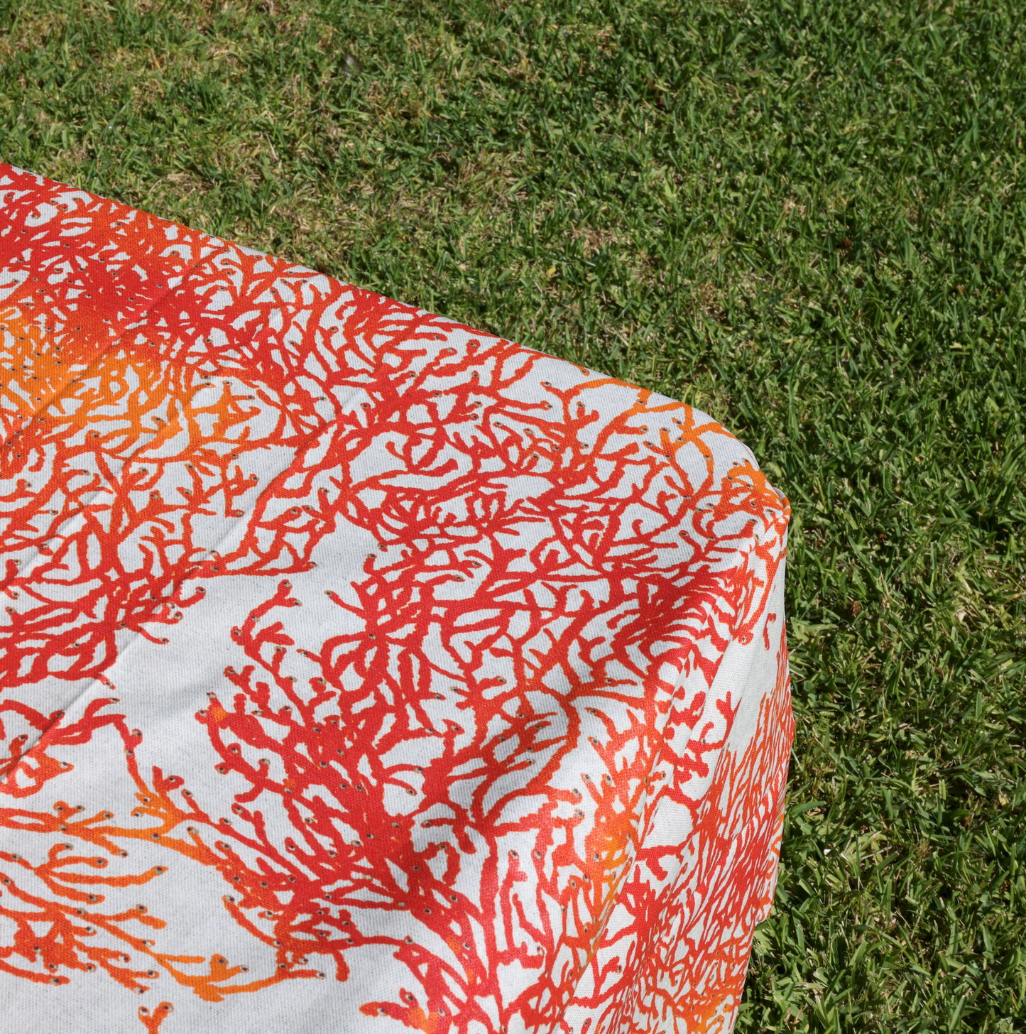 Coral Coated