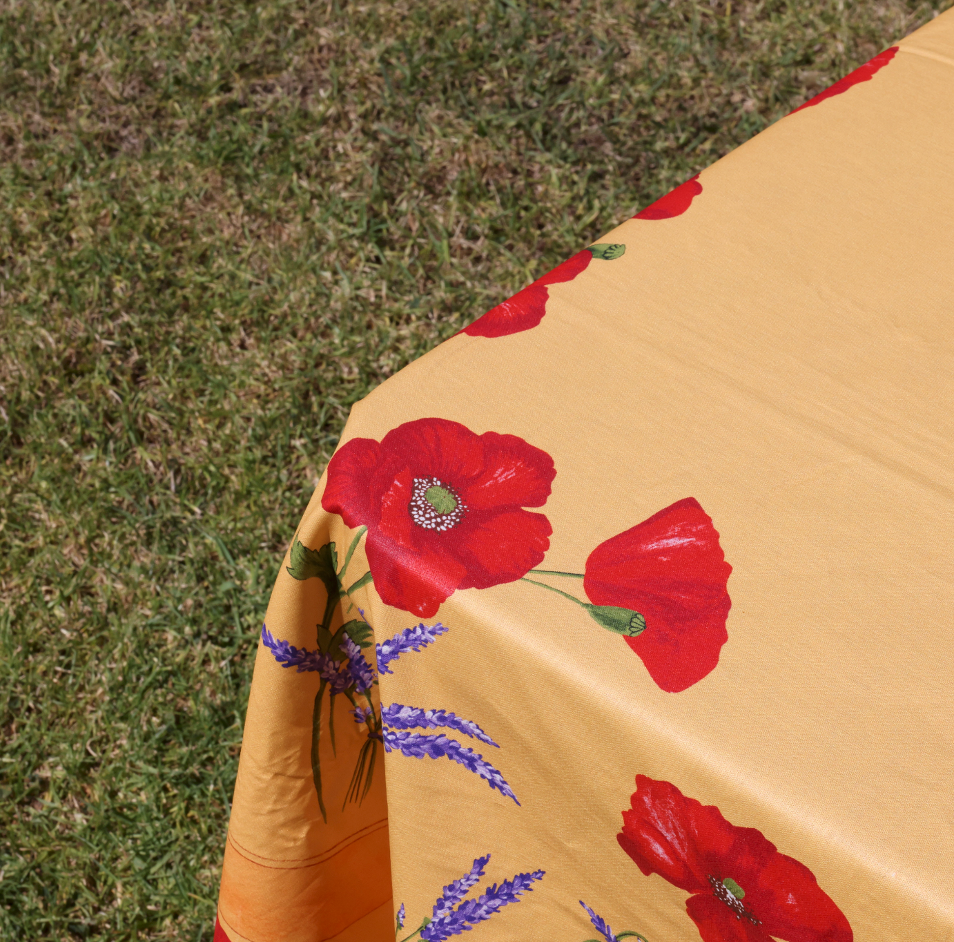 Red Provence Poppies on Yellow Coated