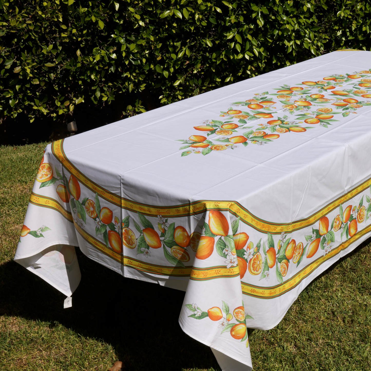 Provence Lemon on White Coated