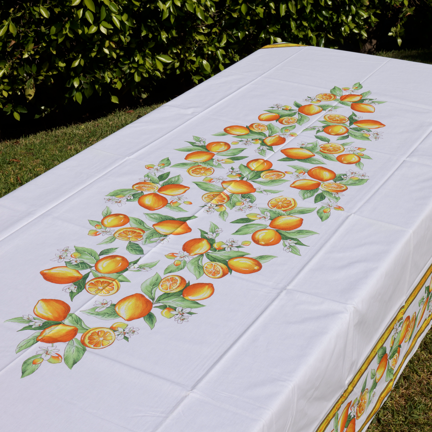 Provence Lemon on White Coated