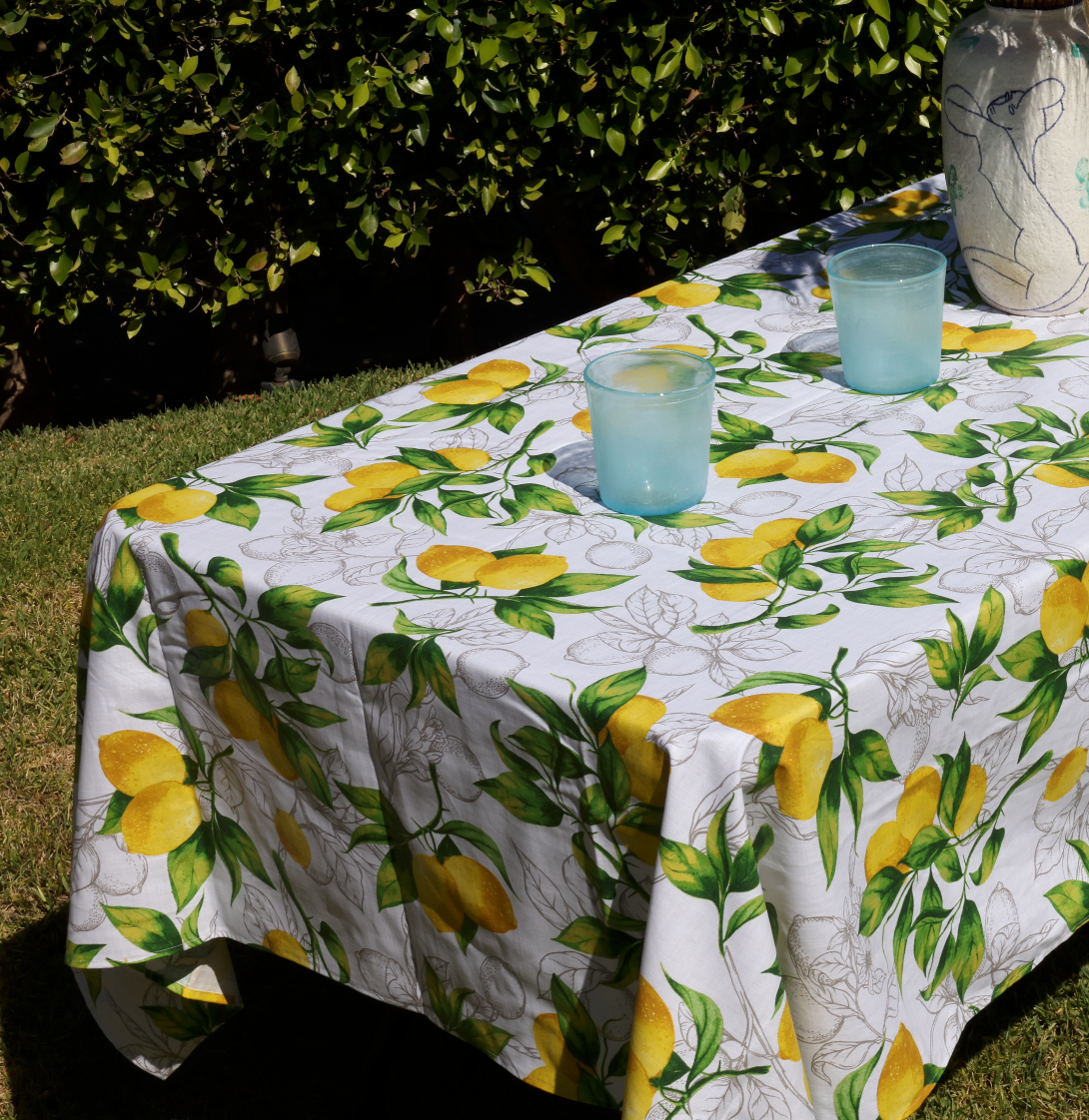 Italian Lemons on White Coated
