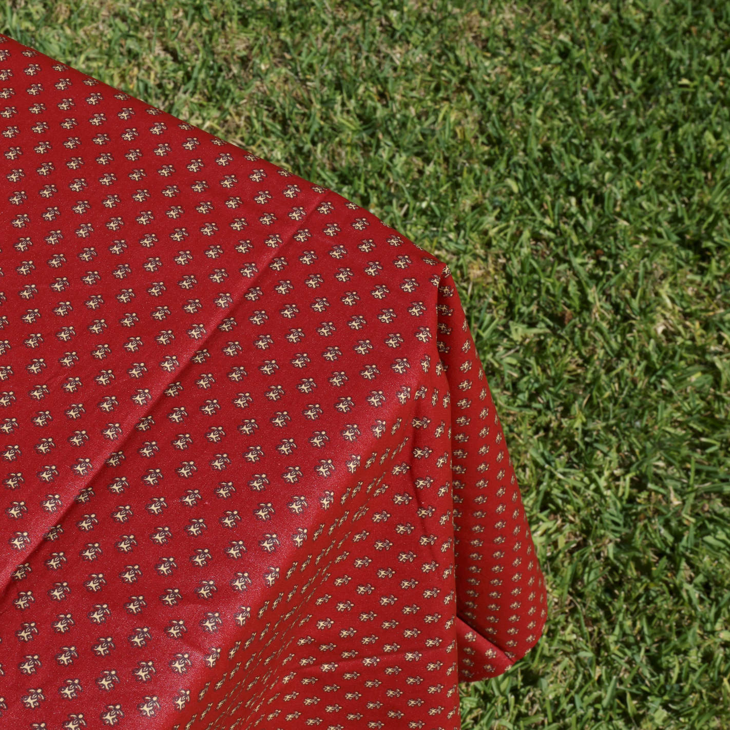 Red French Bees Coated