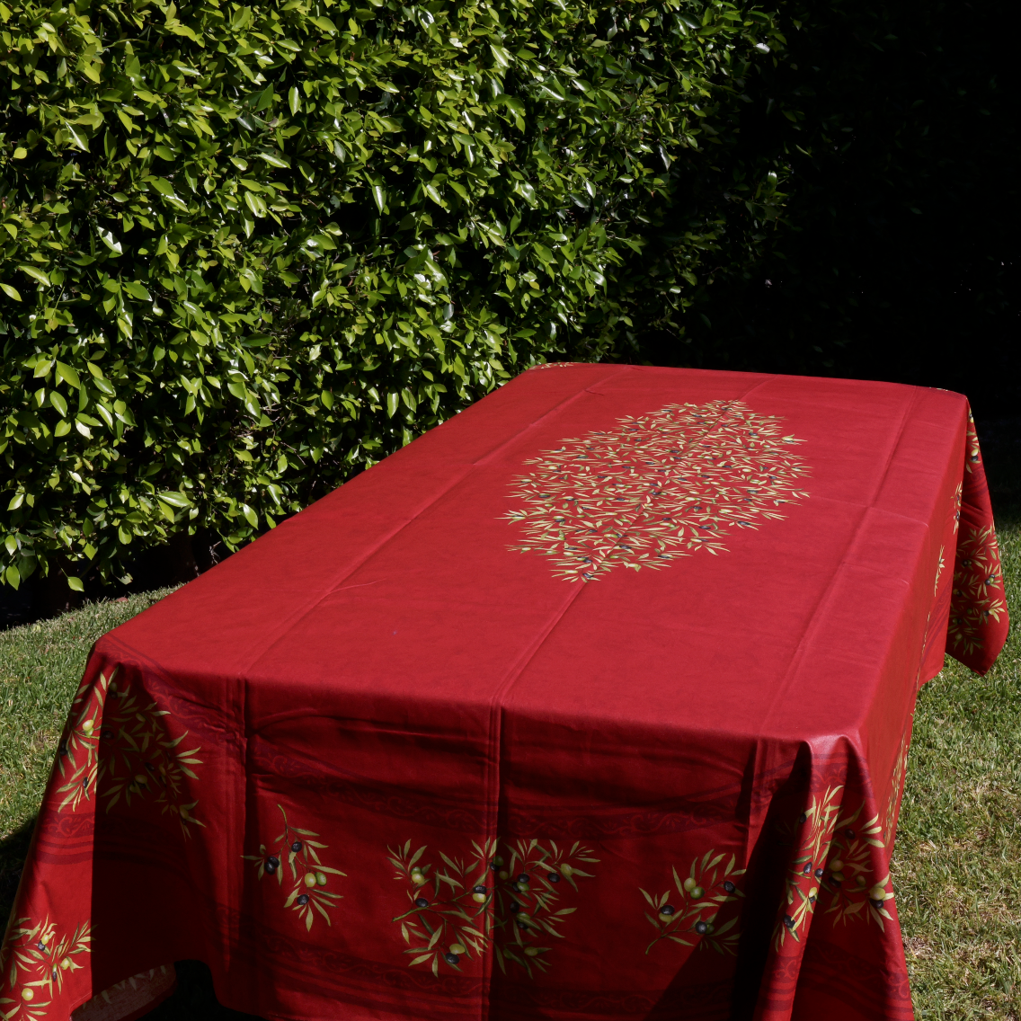 Burgundy Olive Branch Coated