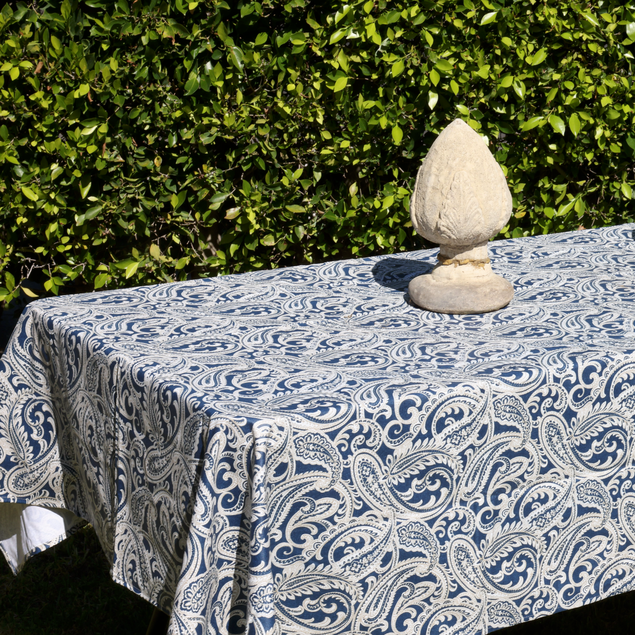 Paisley Blue on Beige Coated