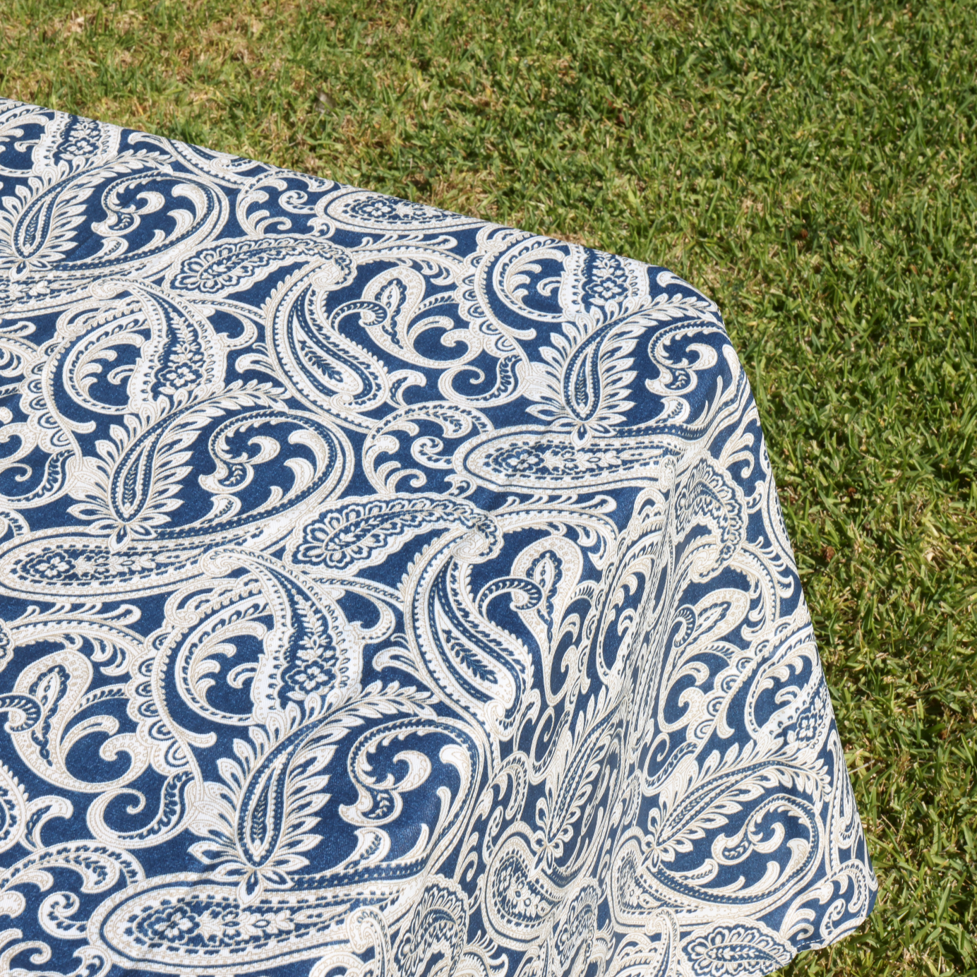 Paisley Blue on Beige Coated