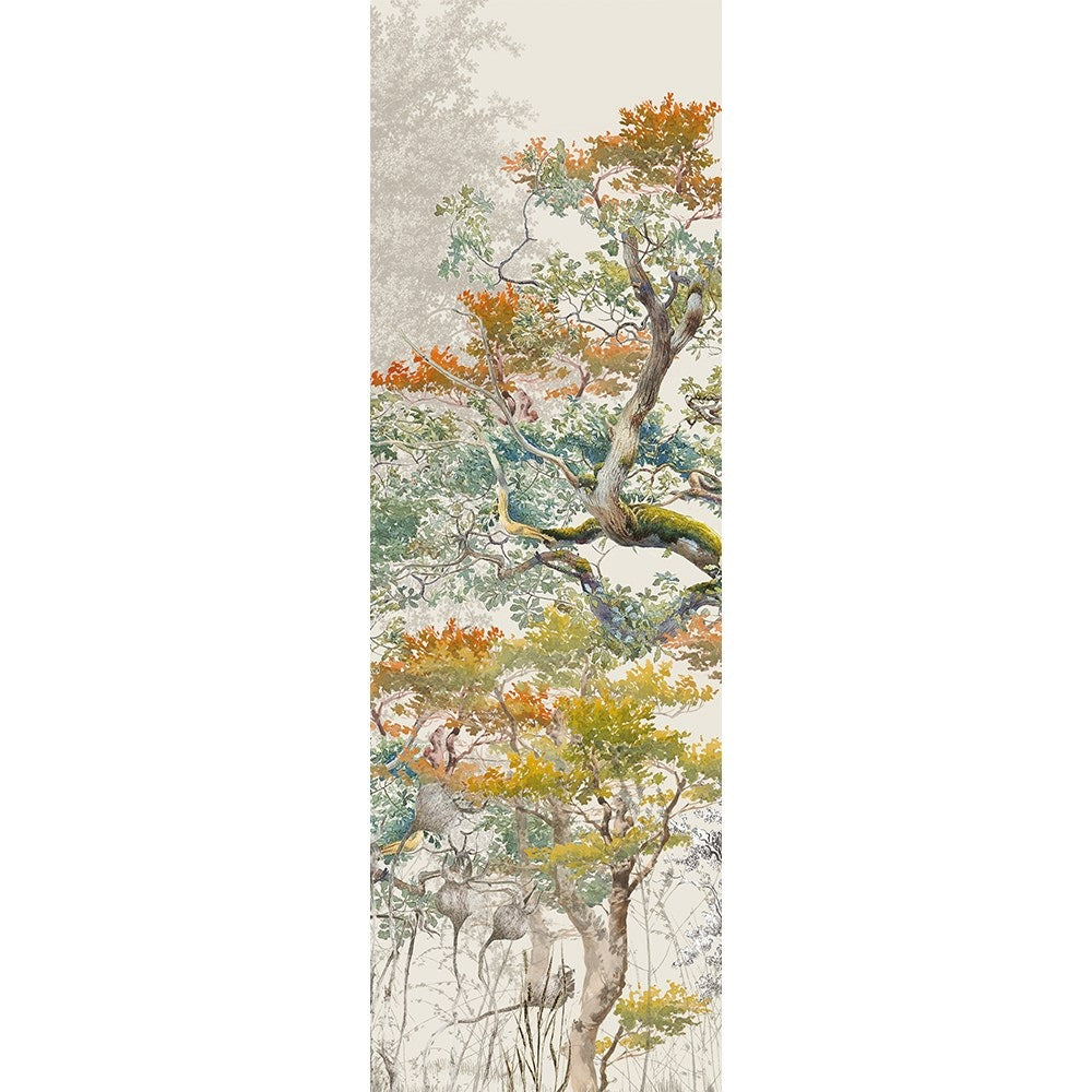Bois De Mystere Runner