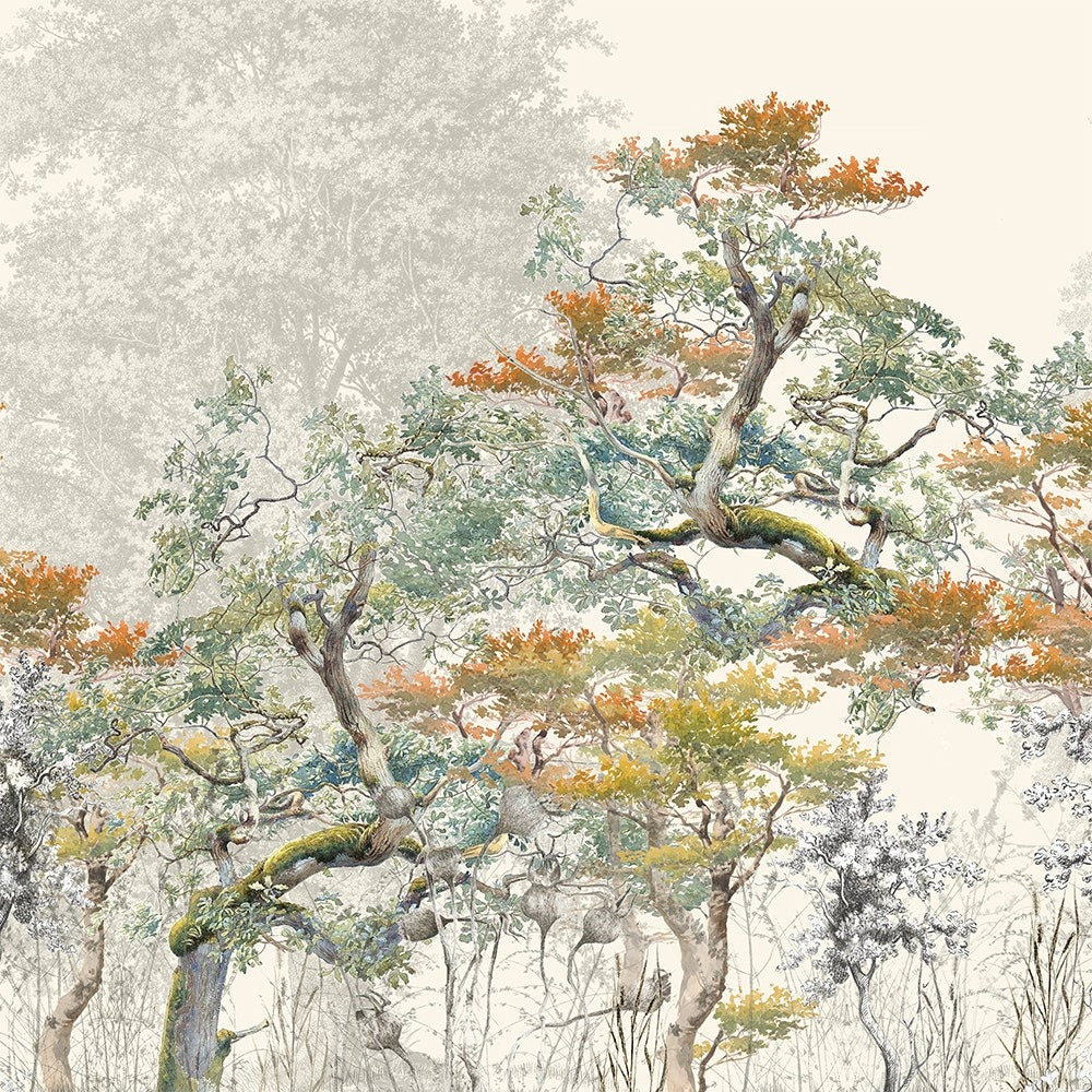 Bois De Mystere