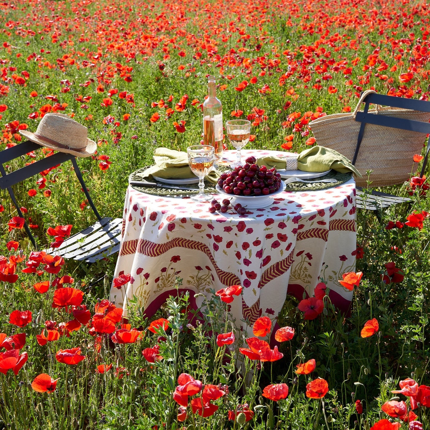 Poppies