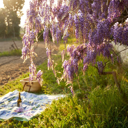 Wisteria Blue & Green