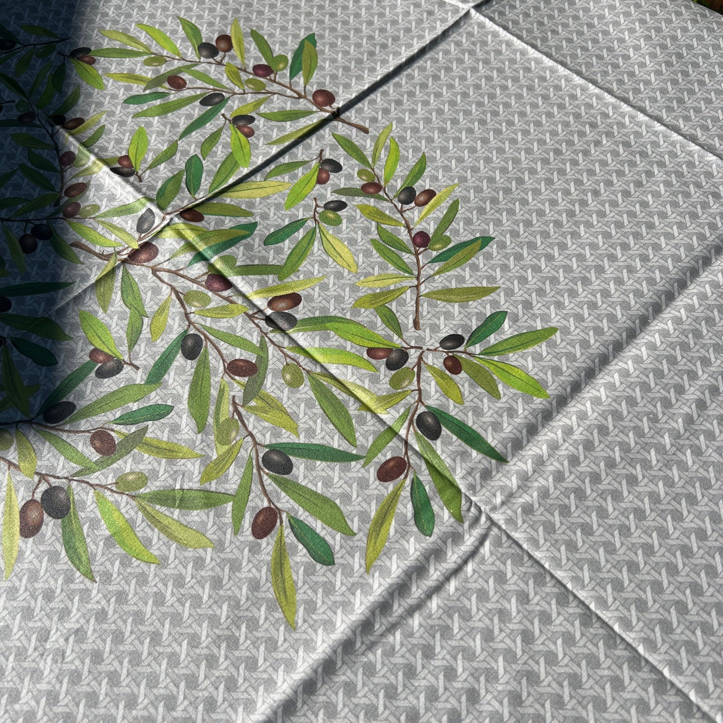 Olive Branch Coated