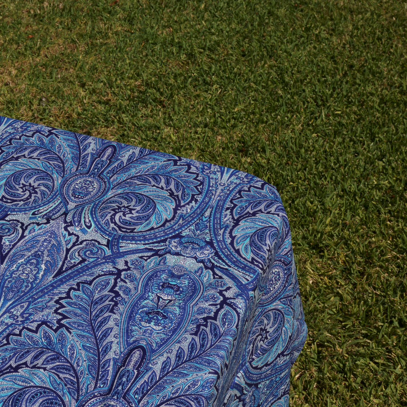 Paisley Blue Provence Coated