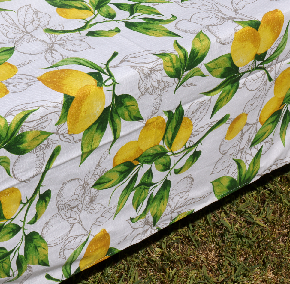Italian Lemons on White Coated