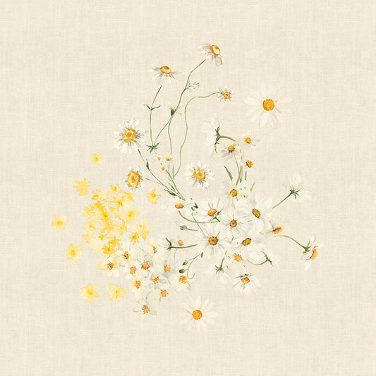 Daisy print chanvre cotton-linen napkins in yellow and cream