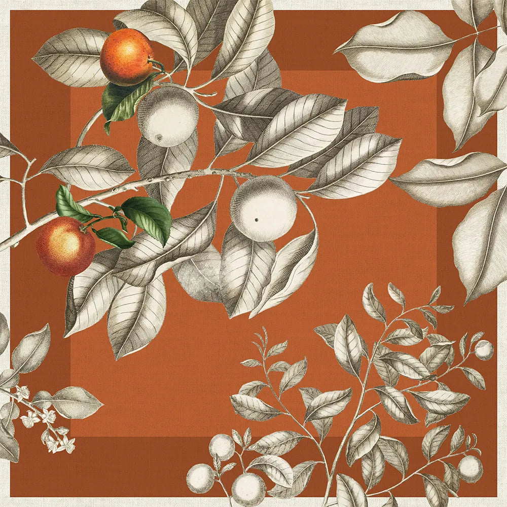 Mandarines Rouille Napkins (4ct)